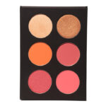 BLUSH & HIGHLIGHTER PALETTE